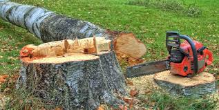 Best Stump Grinding and Removal  in USA